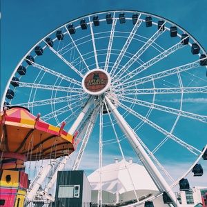 Meet your Posher, Maggie